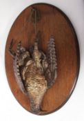 Wall hanging ceramic model of dead game mounted on a wooden backed shield 44cms high