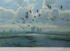 AR SIR PETER MARKHAM SCOTT, CH, CBE, FRS, FZS (1909-1989) Geese in flight coloured print,