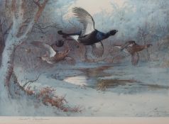 ARCHIBALD THORBURN (1860-1935) "Black Cock through the silver birches" coloured print, published