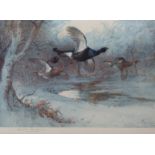 ARCHIBALD THORBURN (1860-1935) "Black Cock through the silver birches" coloured print, published