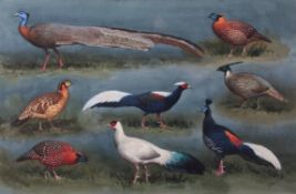 AR JOHN CYRIL HARRISON (1898-1985) "Tragopans Pheasant and others" watercolour, signed lower right