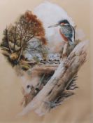 AR ROBERT COPPILIE (20TH CENTURY) Kingfisher watercolour and gouache, signed and dated 1979 lower