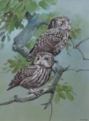 AR FRANK JARVIS (20TH CENTURY) "Little owls" watercolour and gouache, signed and dated '98 lower