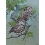 AR FRANK JARVIS (20TH CENTURY) "Little owls" watercolour and gouache, signed and dated '98 lower