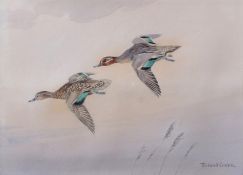AR ROLAND GREEN (1896-1972) Pair of Teal in flight watercolour, signed lower right 24 x 34cms