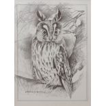 AFTER POLLYANNA PICKERING Long eared owl black and white print 34 x 24cms