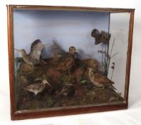 Large taxidermy cased group of two Woodcock and four Snipe in naturalistic setting by John Shaw of