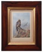 ARCHIBALD THORBURN (1860-1935) Golden Eagle coloured print, with letter from publishers A Baird