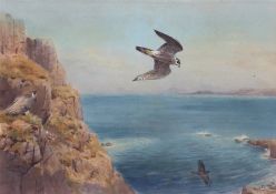 AR JOHN CYRIL HARRISON (1898-1985) Peregrine on the attack watercolour, signed lower right 33 x