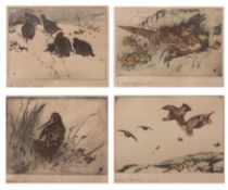 AFTER WINIFRED AUSTEN Titled bird studies group of four coloured prints 12 x 17cms (4)