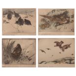 AFTER WINIFRED AUSTEN Titled bird studies group of four coloured prints 12 x 17cms (4)