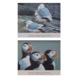 AR AFTER ROBERT GILLMOR Gulls and Puffins pair of coloured prints, signed by Charles H Wilson (