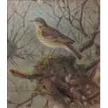 JOHANNES GERARDUS KEULEMANS (1842-1912) "Woodlark" watercolour, signed lower right 25 x 22cms