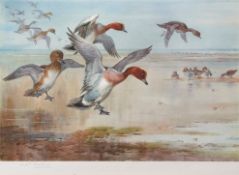 ARCHIBALD THORBURN (1860-1935) "Widgeon alighting" coloured print, published by W F Embleton 1927,