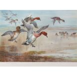 ARCHIBALD THORBURN (1860-1935) "Widgeon alighting" coloured print, published by W F Embleton 1927,