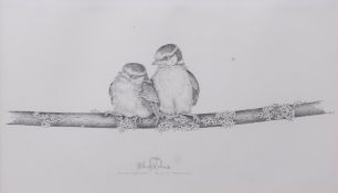 AR MICHAEL N OXENHAM (born 1949) "Blue Tit fledglings" black and white print, signed and numbered