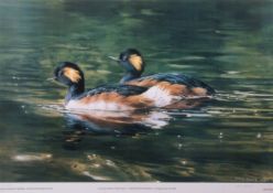 JOHN BAIRD (20TH CENTURY) "Blackneck Grebes" coloured print, published by Art Bank 1989, signed