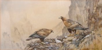 AR COLIN W BURNS (born 1944) Golden Eagle and nest watercolour, signed lower right 15 x 30cms