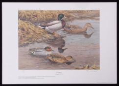 AR ROGER MCPHAIL (born 1953) "Wildfowl" coloured print, published by The Signet Press, signed and