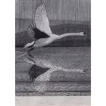 AR COLIN PAYNTON (born 1946) "The Swan" wood engraving, signed, numbered 34/50 and inscribed with