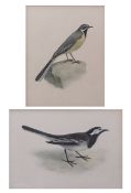 LILIAN MEDLAND (1880-1955) "Grey Wagtail" and one other two watercolours, both signed 24 x 19cms and