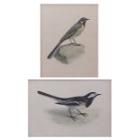 LILIAN MEDLAND (1880-1955) "Grey Wagtail" and one other two watercolours, both signed 24 x 19cms and