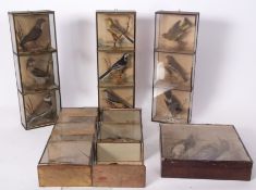 Five taxidermy cases containing 15 assorted bird species together with one further case (6)