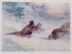 AFTER ARCHIBALD THORBURN Pheasants in winter coloured print, numbered 156/500 in pencil to margin 27