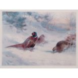 AFTER ARCHIBALD THORBURN Pheasants in winter coloured print, numbered 156/500 in pencil to margin 27