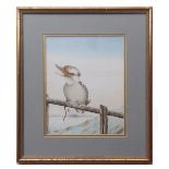 NEVILLE WILLIAM CAYLEY (1886-1950) "Australian Kookaburra" watercolour 25 1/2 x 20cms