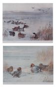 ARCHIBALD THORBURN (1860-1935) Mallard and Teal two coloured prints, published by A Baird Carter