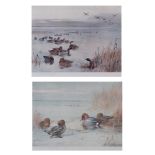 ARCHIBALD THORBURN (1860-1935) Mallard and Teal two coloured prints, published by A Baird Carter