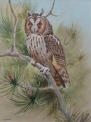 AR FRANK JARVIS (20TH CENTURY) "Long eared owl" watercolour and gouache, signed and dated '98