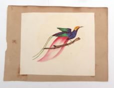 Packet of four 19th century watercolours, bird studies etc, all unframed (4)