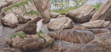 AR STEVE GALE (CONTEMPORARY) Bird in rocky river landscape 20 x 40cms