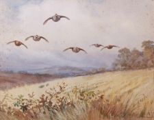 AR ROLAND GREEN (1896-1972) Partridge in flight over a field watercolour, signed lower left 23 x