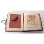 VERY RARE AND IMPORTANT ALBUM containing 41 original watercolours and drawings, numerous bird