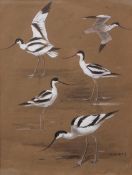 AR ROLAND GREEN (1896-1972) "Avocets" watercolour, signed lower right 24 x 18cms