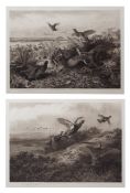 ARCHIBALD THORBURN (1860-1935) "Grouse in flight from a turnip field" and "Grouse in flight on a