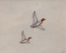 AR VINCENT BALFOUR BROWNE (1880-1963) Cock and Hen Teal in flight watercolour, initialled and