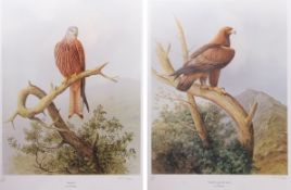 AR R DAVID DIGBY (20TH CENTURY) "Red Kite" and "Goldie, the Golden Eagle" pair of limited edition