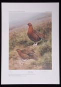 AR ROGER MCPHAIL (born 1953) "The Grouse" coloured print, published by The Signet Press, signed