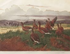 AR WINIFRED AUSTEN (1876-1964) Geese coloured etching, signed in pencil to lower right margin 28 x