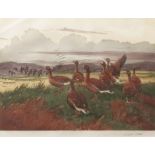 AR WINIFRED AUSTEN (1876-1964) Geese coloured etching, signed in pencil to lower right margin 28 x