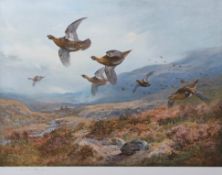 ARCHIBALD THORBURN (1860-1935) "Grouse over the burn" coloured print, published by W F Embleton