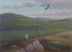 AR DONALD WATSON (1918-2005) Hen Harriers on territory, Airie Flowe watercolour, signed and dated