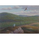 AR DONALD WATSON (1918-2005) Hen Harriers on territory, Airie Flowe watercolour, signed and dated
