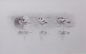 AR LARS JONSSON (born 1952) "Avocets" black and white lithograph, signed and numbered 77/100 in