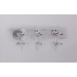 AR LARS JONSSON (born 1952) "Avocets" black and white lithograph, signed and numbered 77/100 in