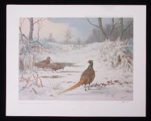 AR JOHN CYRIL HARRISON (1898-1985) Pheasant and Woodcock in Winter coloured print, published by